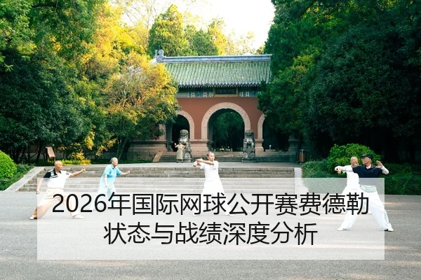 nian-guo-ji-wang-qiu-gong-kai-sai-fei-de-lei-zhuang-tai-yu-zhan-ji-shen-du-fen-xi-2-792.jpg